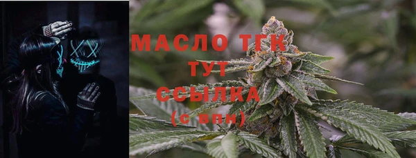 дживик Елабуга