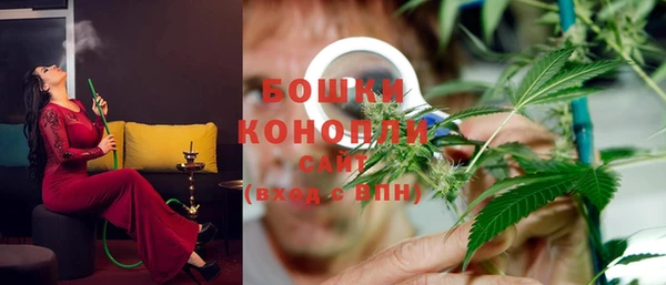 гашик Заволжье