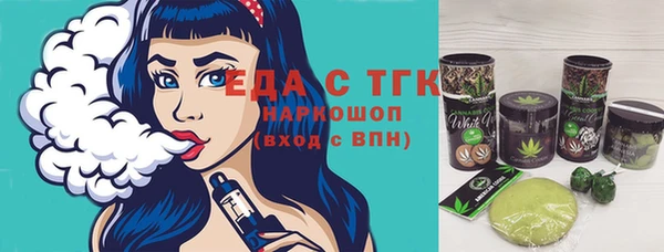 индика Ельня