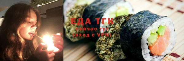 индика Ельня