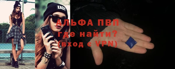 индика Ельня