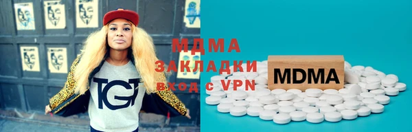 индика Ельня