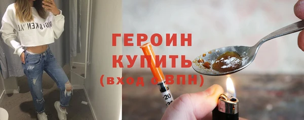 индика Ельня
