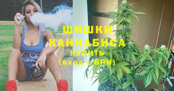 MESCALINE Елизово