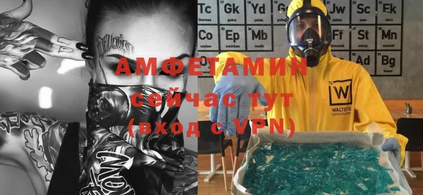индика Ельня