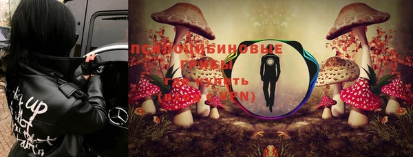 герыч Заводоуковск