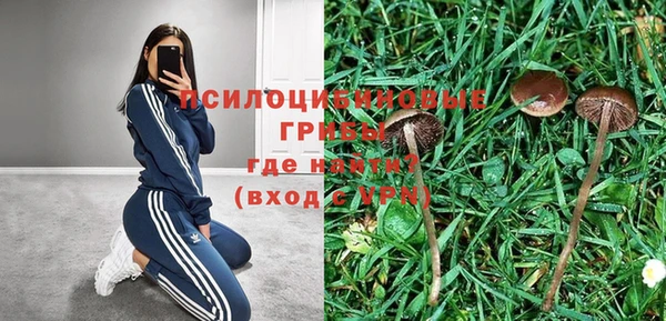 MESCALINE Елизово
