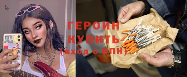 индика Ельня