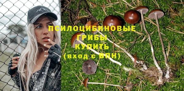 гашик Заволжье
